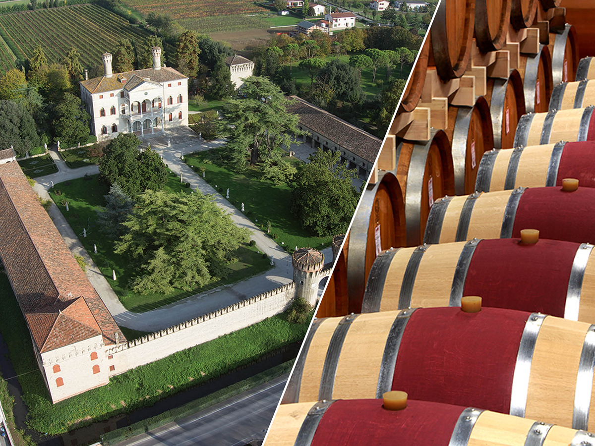 Castello di Roncade: la cultura del buon vino